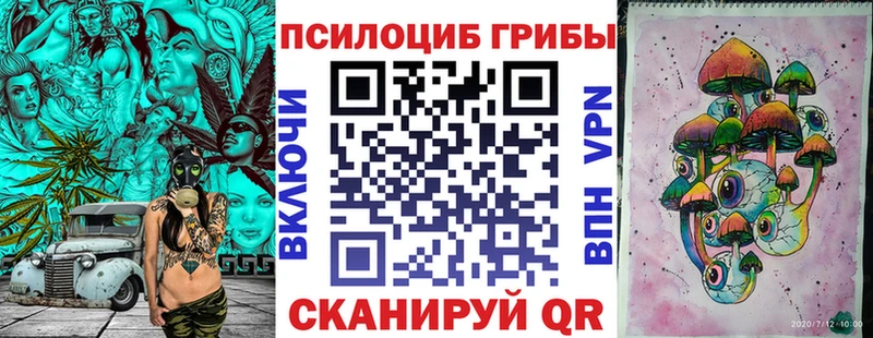 Псилоцибиновые грибы прущие грибы  Вольск 