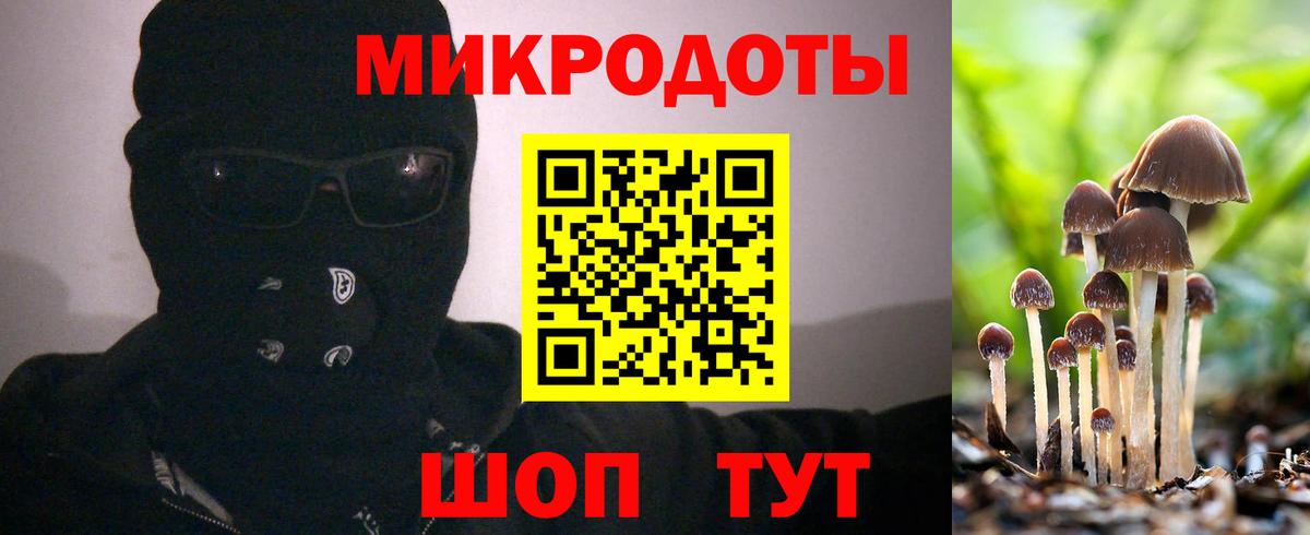 Галлюциногенные грибы Psilocybine cubensis  Вход с VPN  Вольск 